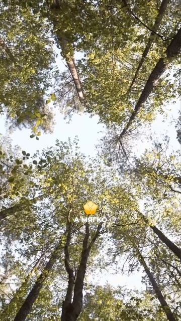 Практика активации ченнелинга смотреть онлайн