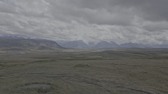 20250804_135644 смотреть онлайн