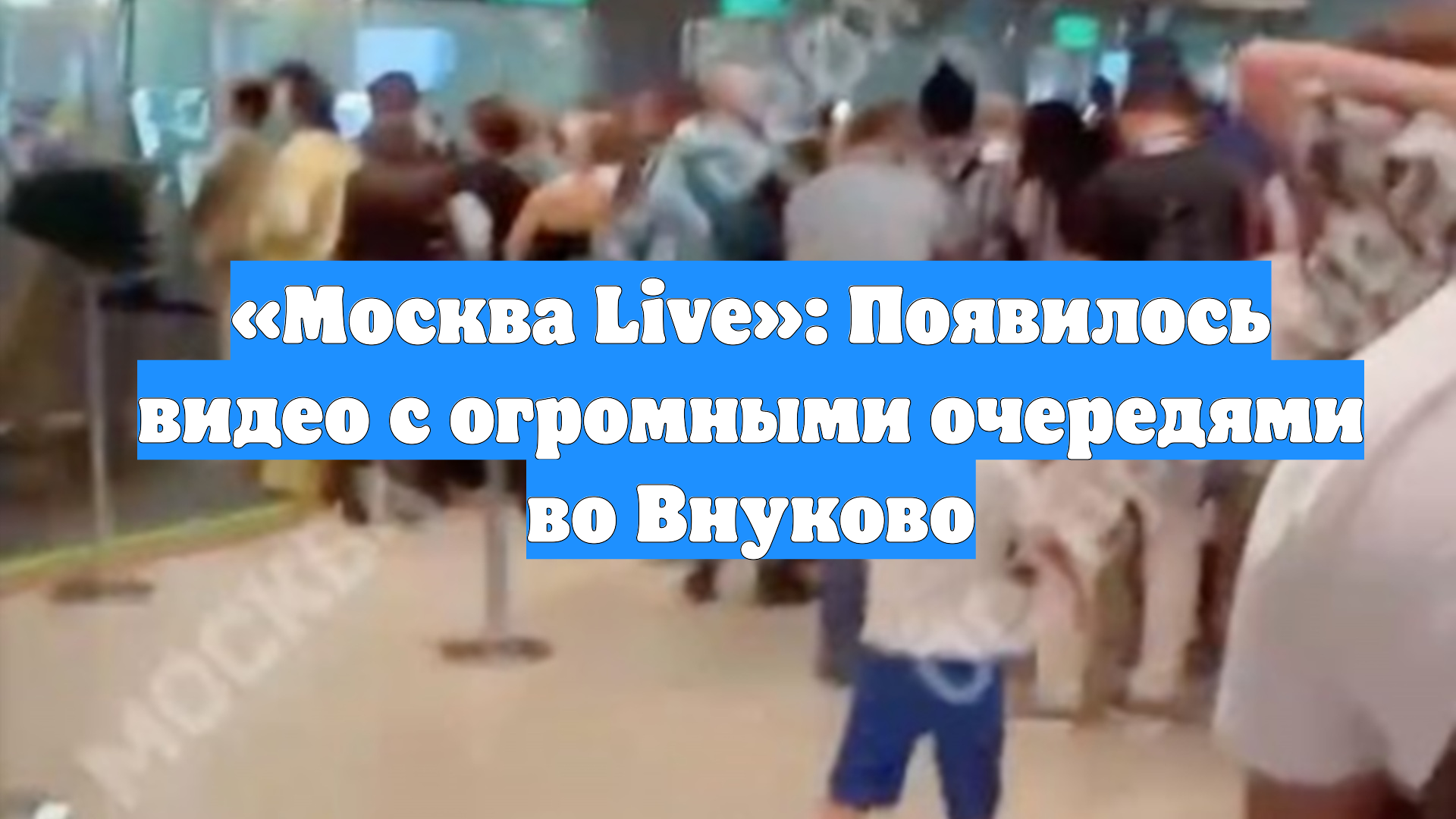 «Москва Live»: Появилось видео с огромными очередями во Внуково