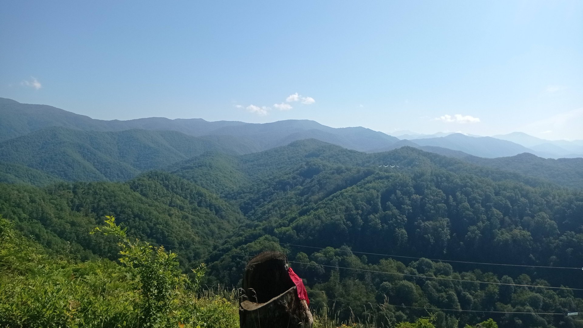 Путешествие в джунглях Сочинского национального парка. Дебри реки Цусхвадж. смотреть онлайн