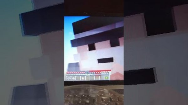 Minecraft grow of garden