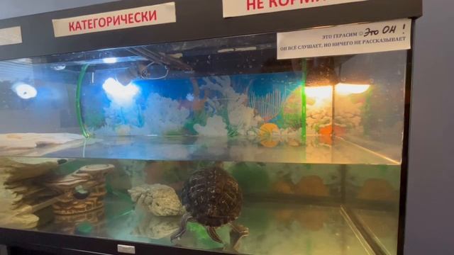 Герасим обдумывает подслушанные офисные секретики...