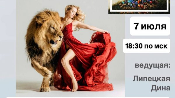 АГРЕССИЯ МОЖЕТ БЫТЬ КРАСИВОЙ