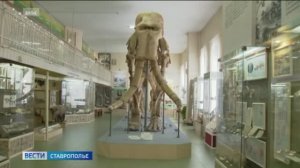 Археологические находки: самые знаменитые открытия на Ставрополье