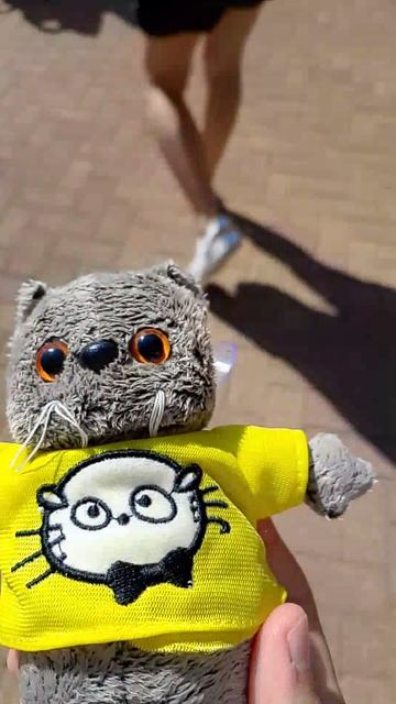 Басик на море, Басик идёт кушать | канал БасАлиса |