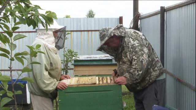 Подушки для пчел_рус смотреть онлайн