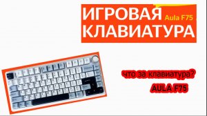 КЛАВИАТУРА AULA F75 ЧТО ЗА СВИТЧИ? ЧТО ЗА КЕЙКАПЫ?