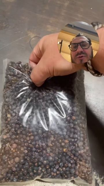 Ginology | Да будет джин!