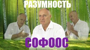 ВЫХОД В РАЗУМНОСТЬ И ЕСТЬ ВЫХОД.  СОФООС