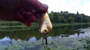 Эта блесна нравится щукам! Рыбалка на спиннинг с берега 2021!