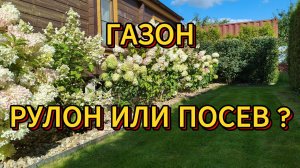 Газон: рулон или посев? 90% выбирают неправильно!     #Газон #РулонныйГазон #ПосевнойГазон