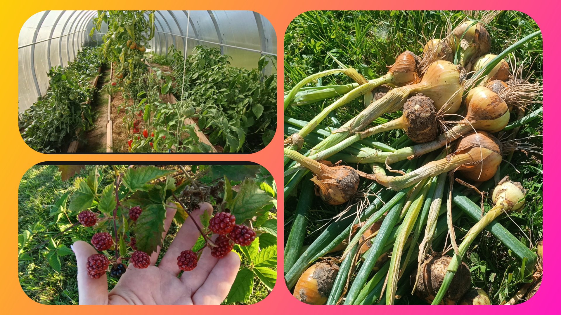 Влог.Планируем по новому смотреть онлайн