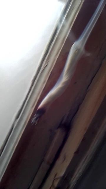 дымим и дышем