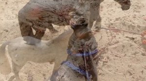 клип забыть