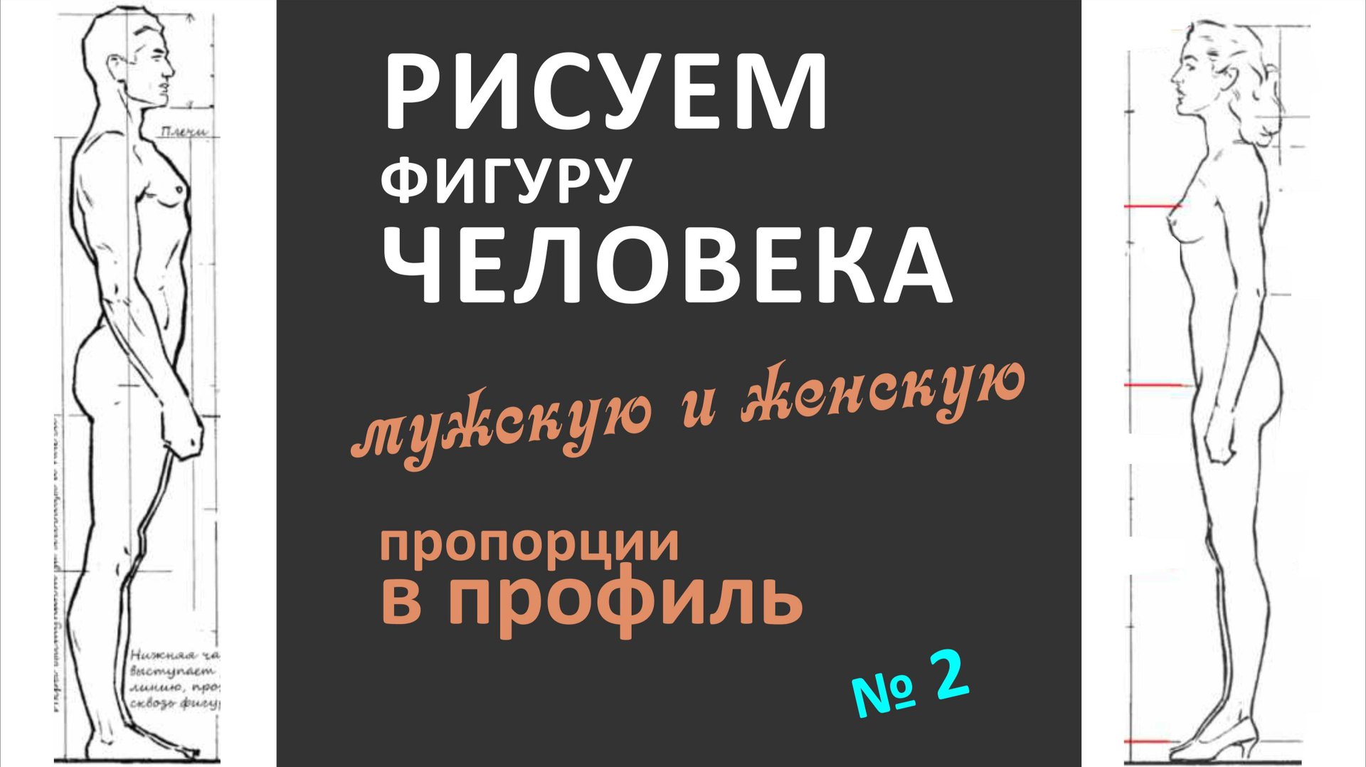 урок 2 рисуем фигуры в профиль мужскую и женскую, изучаем пропорции смотреть онлайн