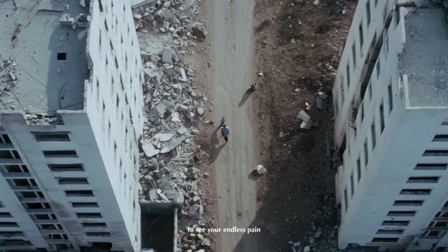 SHAMI - Palestine (Mood video) смотреть онлайн