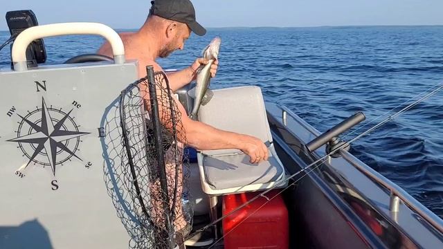 Выг озеро 2025 (1серия)