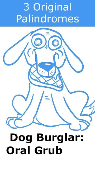 3 Original Palindromes (Spelled The Same Backwards And Forwards)