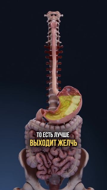 Отправь тем, кто любит арбуз смотреть онлайн