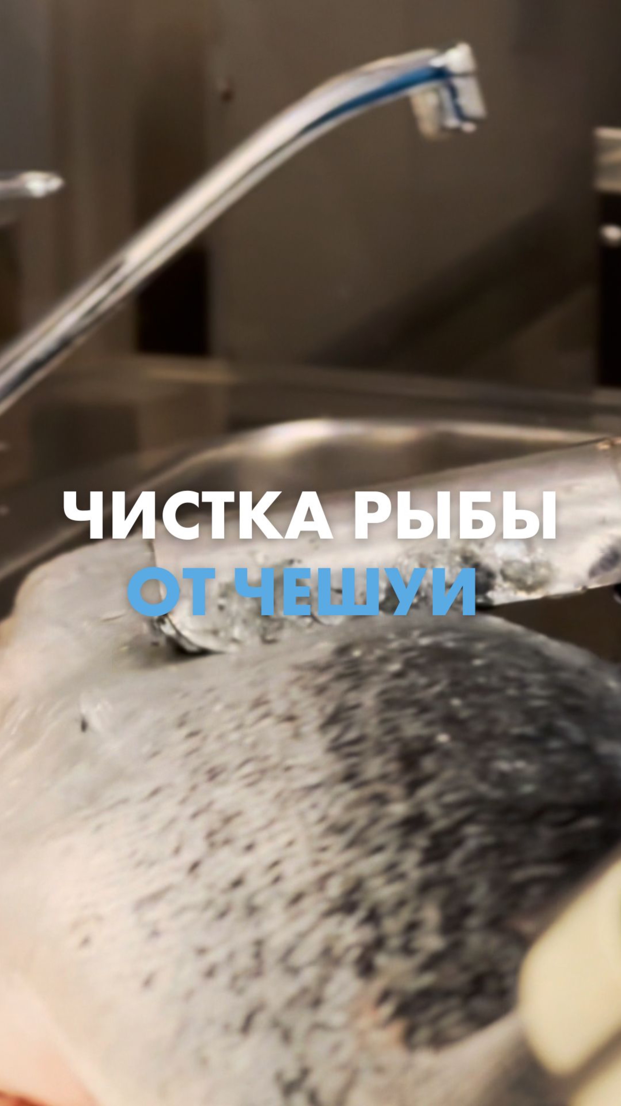 🤗 Бесконечно можно смотреть на огонь, воду и как сотрудники «Ленты» чистят рыбу за вас! смотреть онлайн