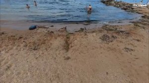 КРЫМ Феодосия пляж Приморский сегодня 15 августа 2025. Обстановка на пляже, море и погода сейчас