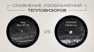 Сравнение изображений Artelv Atomos vs iRay Rico RS75