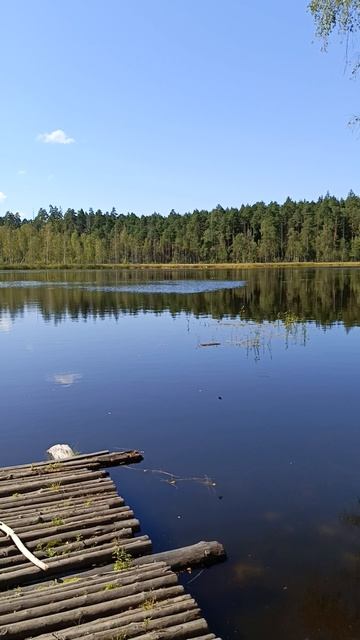 Красивое озеро