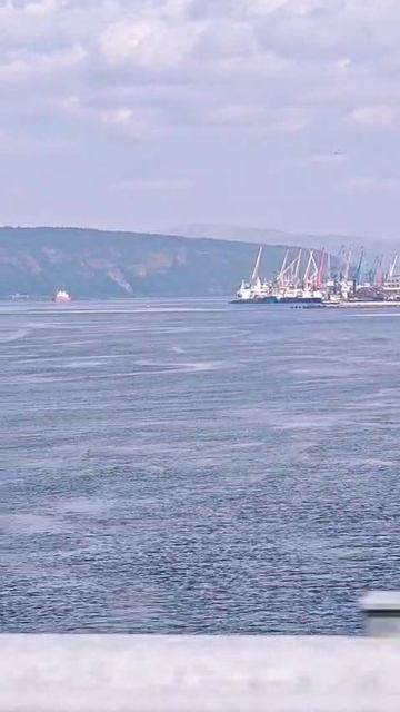 Кольский залив