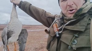 весенняя охота на гуся в Коми 2025. вторая часть