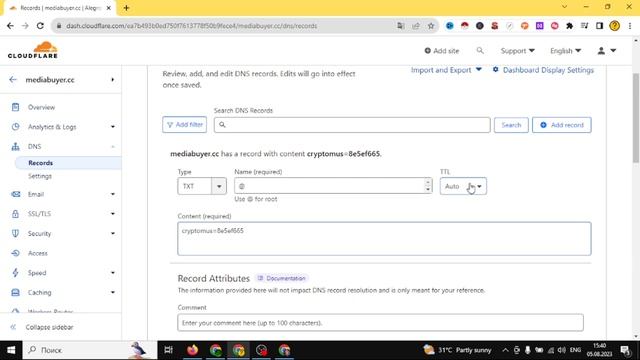 Прием платежей на сайте WordPress, Shopify, Opencart, PrestaShop, XenForo в USDT смотреть онлайн