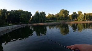 Рыбалка в Москве. Большой Графский пруд.