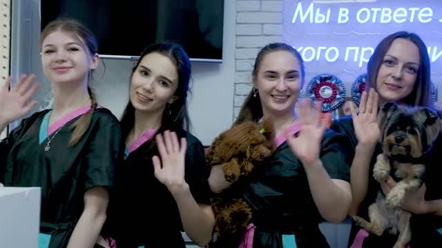 Студия груминга Groom Pet смотреть онлайн
