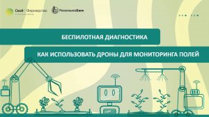 Беспилотная диагностика: как использовать дроны для мониторинга полей