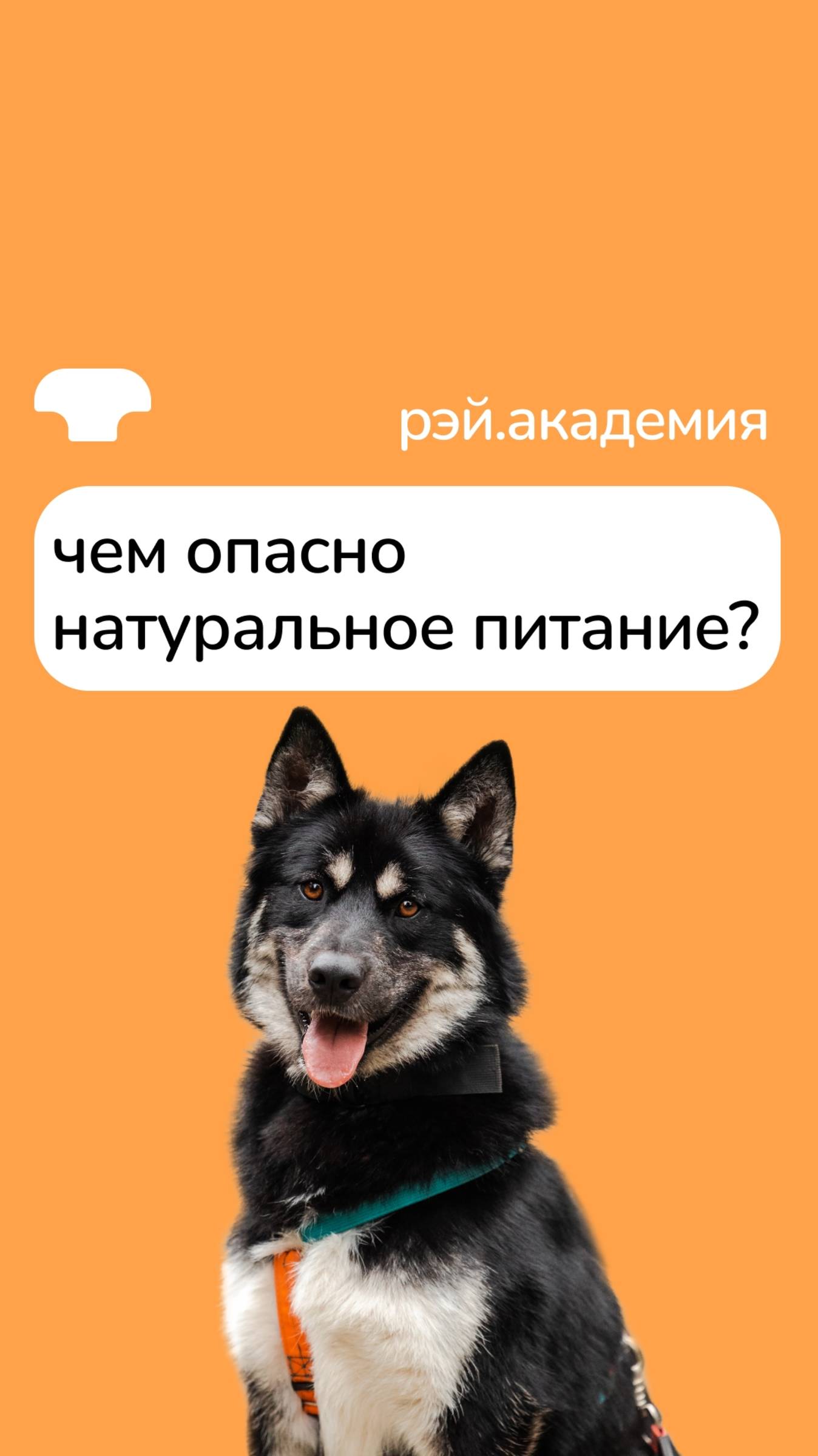 Чем опасно натуральное питание? смотреть онлайн
