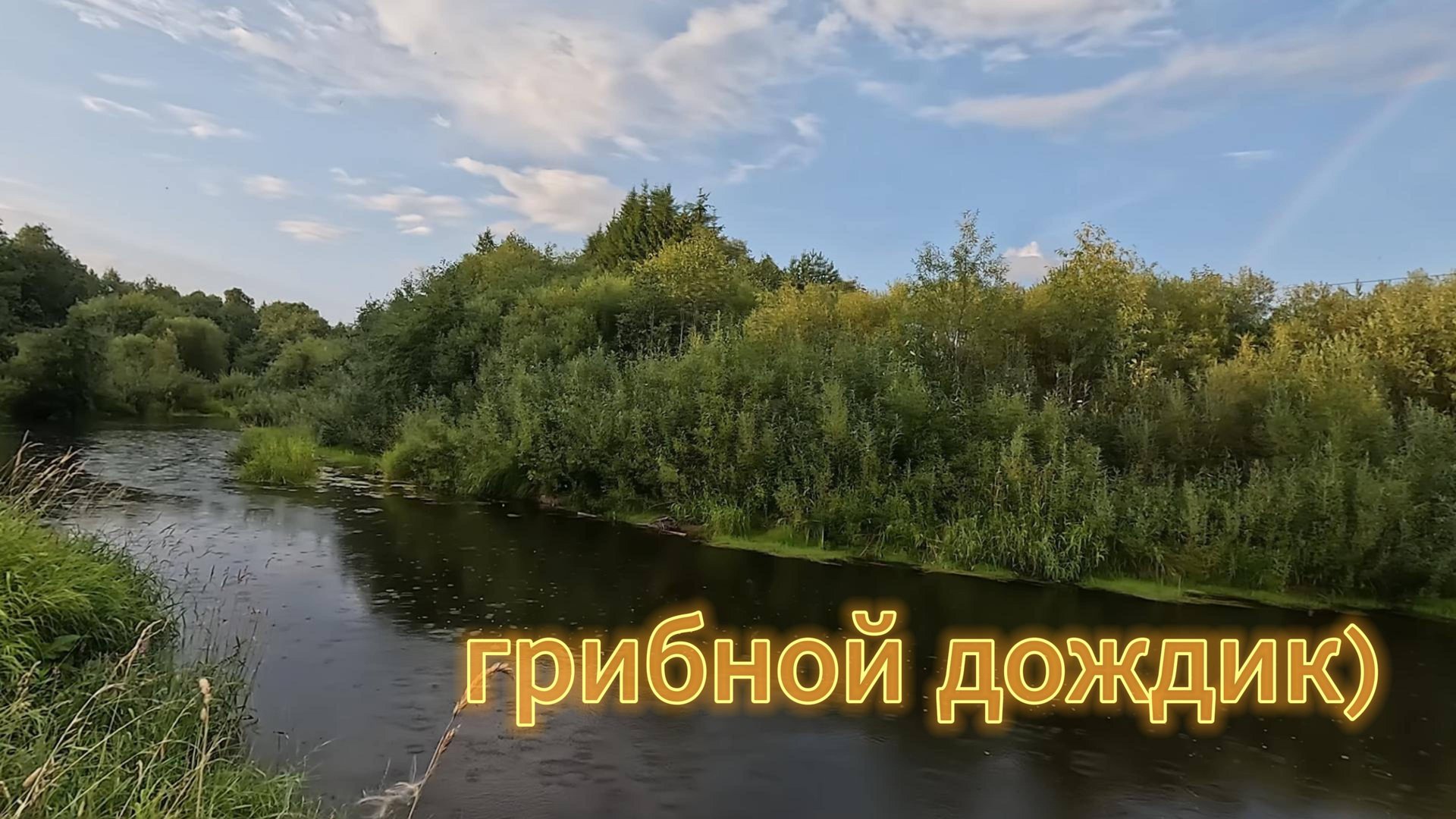 Грибной дождик смотреть онлайн