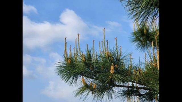 118 смотреть онлайн