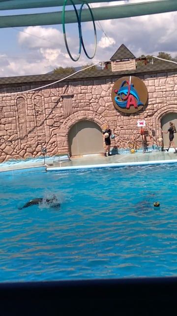 дельфинариум Адлер