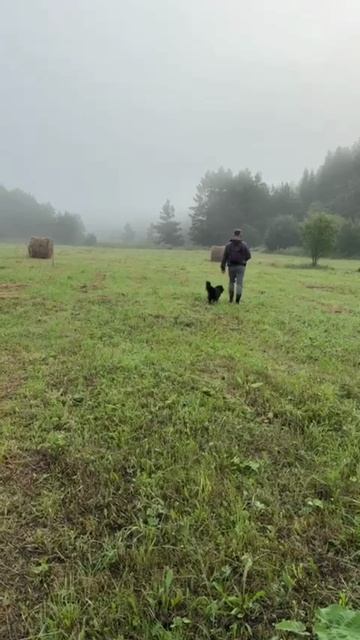 Сашка ,нерпа ,туман .