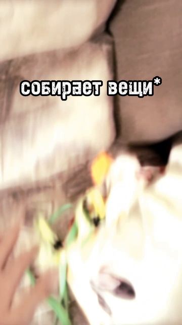 #хоббихорсинг