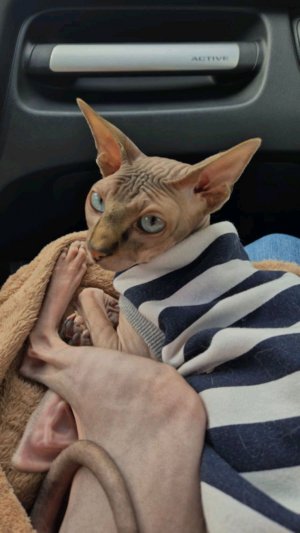 тумка и Тимофей нойзи ❤😻🥰😻