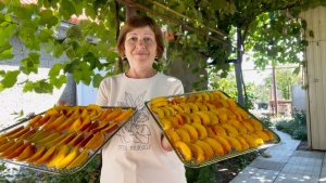 Жизнь на юге | Собираем урожай, вялим фрукты | Заготовили солому на зиму