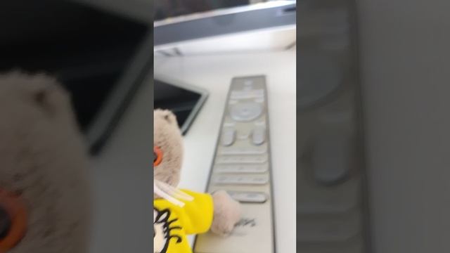 Рум Тур с ФЕЛИКСОМ! |обзор на новую квартиру в Сочи |канал БасАлиса |