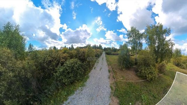 9250756 смотреть онлайн