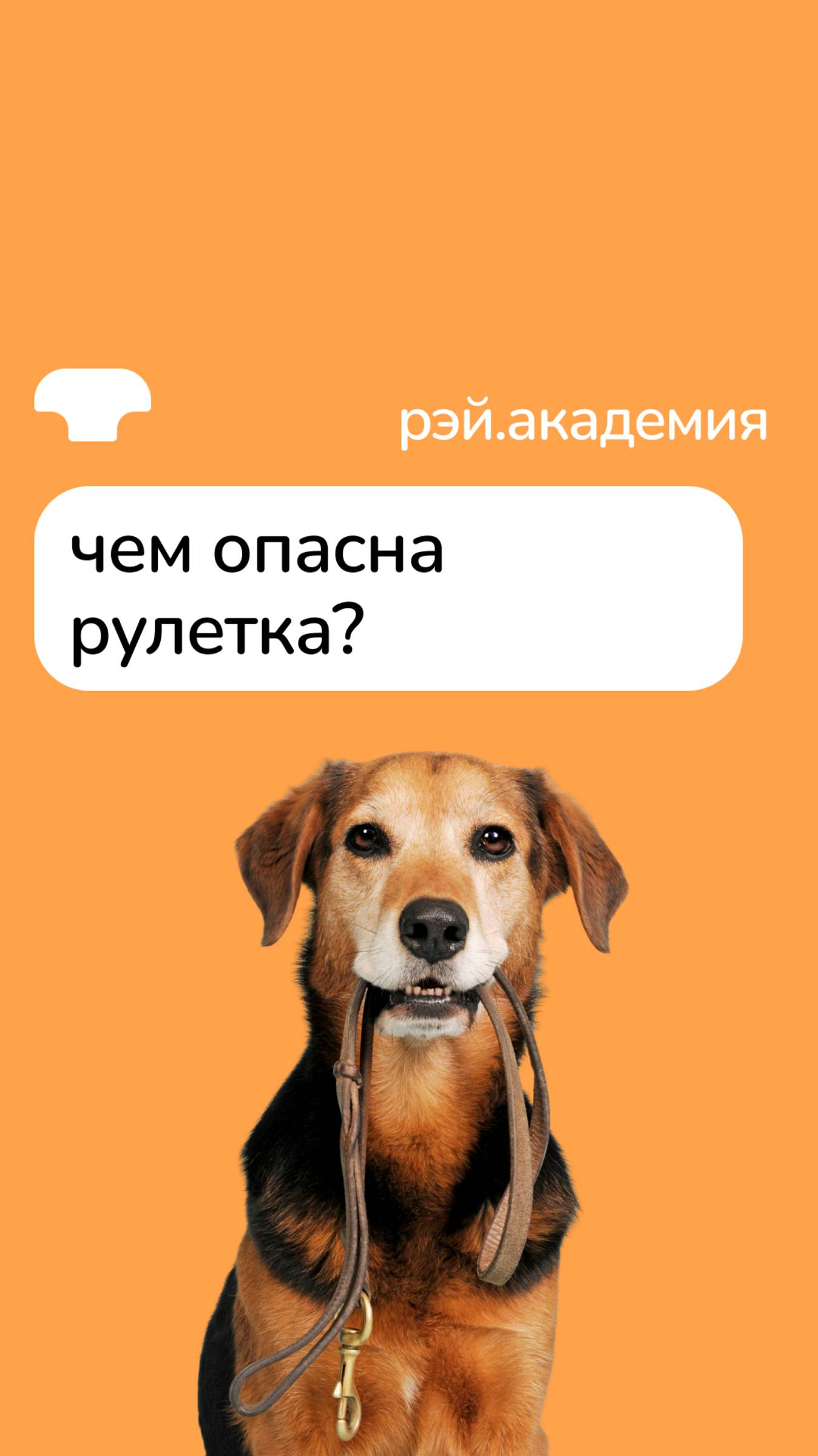 Чем опасна рулетка? смотреть онлайн