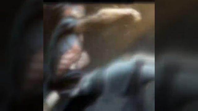 неувязвимый эдит