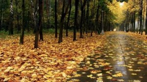 Сергей Лемешев -«Одинокая гармонь»,Yves Montand  -  "Joli mai".(Борис Мокроусов).