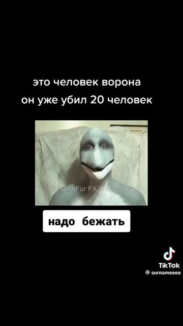 человек дельфин