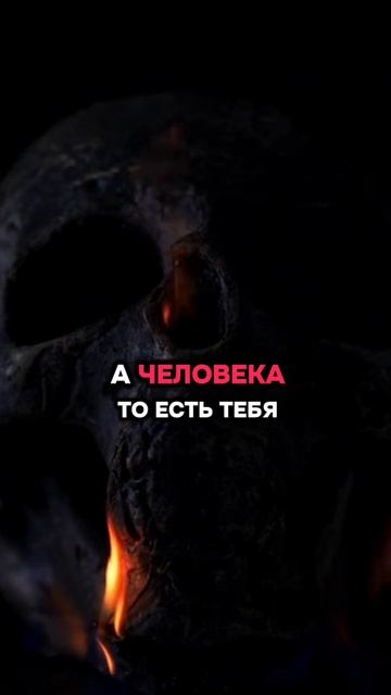 лучшее в мире! смотреть онлайн