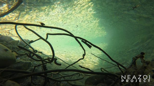 ✅ Обитатели реки Джанхот смотреть онлайн