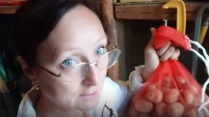 Видео привет с 6 соток 14 августа 2025 года.